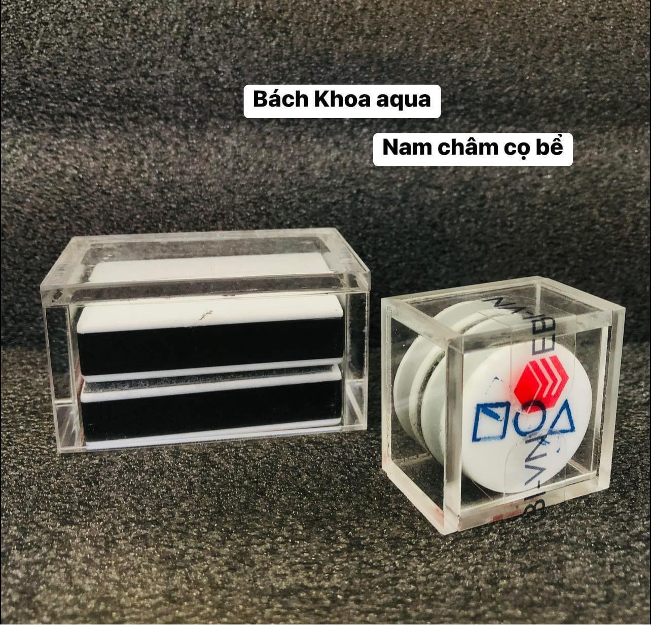 Nam châm cọ bể cao cấp đủ size tròn mini - trung